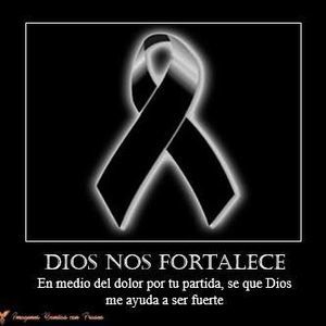 Meet your Posher, Abi